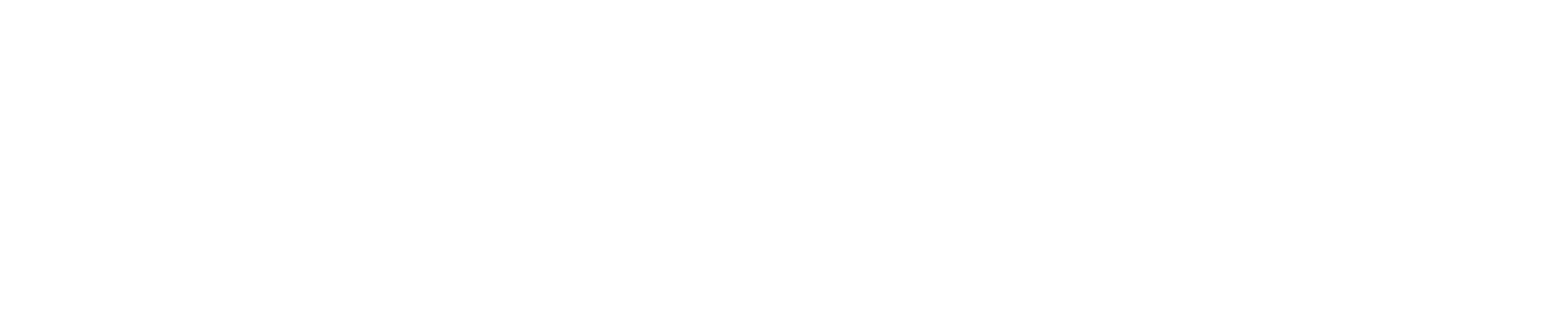 Bitcoin Pizza Day Banner