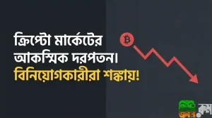 ক্রিপ্টো মার্কেটের আকস্মিক দরপতন, বিনিয়োগকারীরা সংকায়!